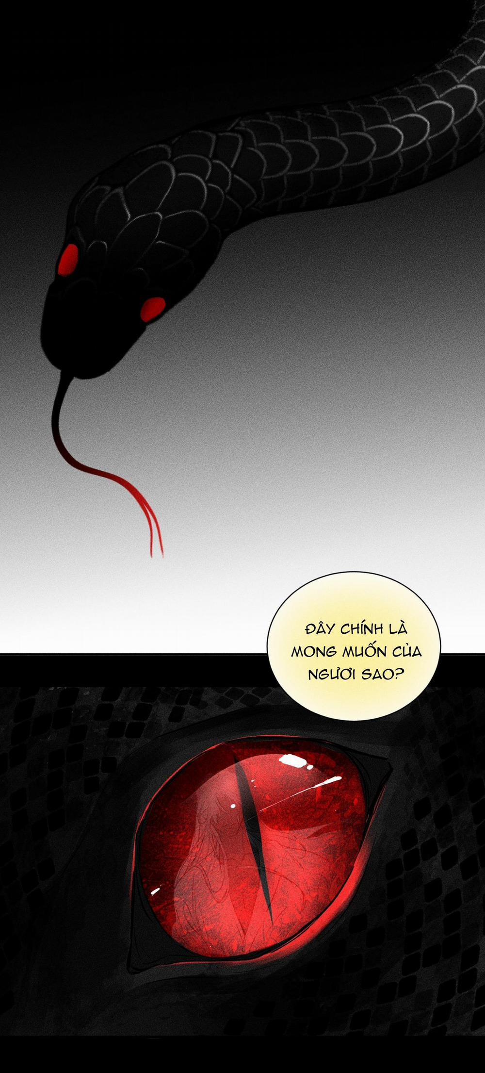 Tùy Tâm Tùy Ý 4 trang 11