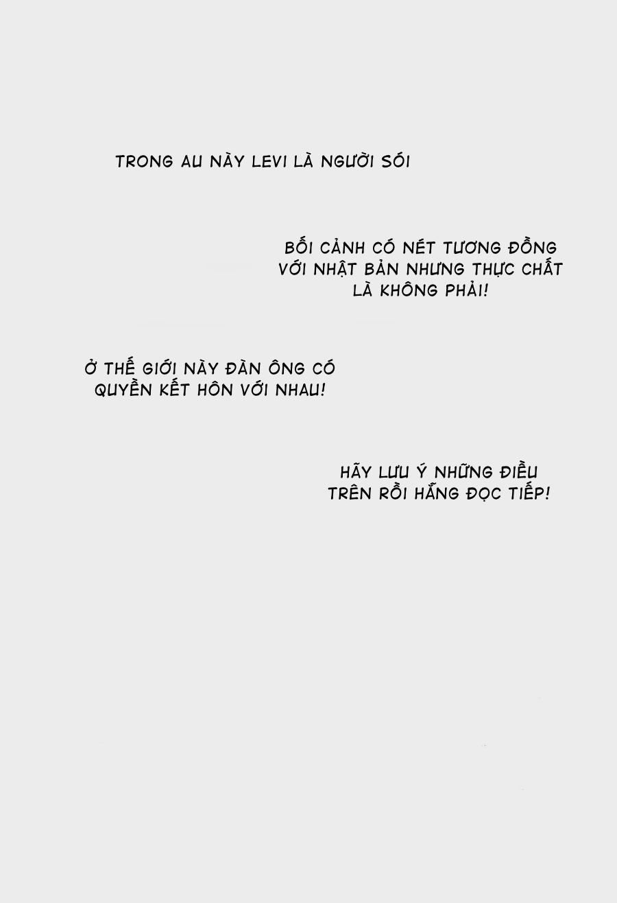 Tuyển Tập Attack On Titan Của Team Vjt 10 trang 2