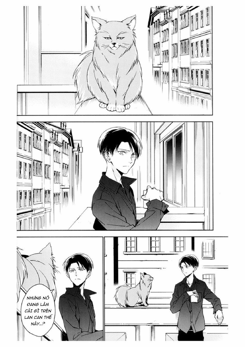 Tuyển Tập Attack On Titan Của Team Vjt 4 trang 11