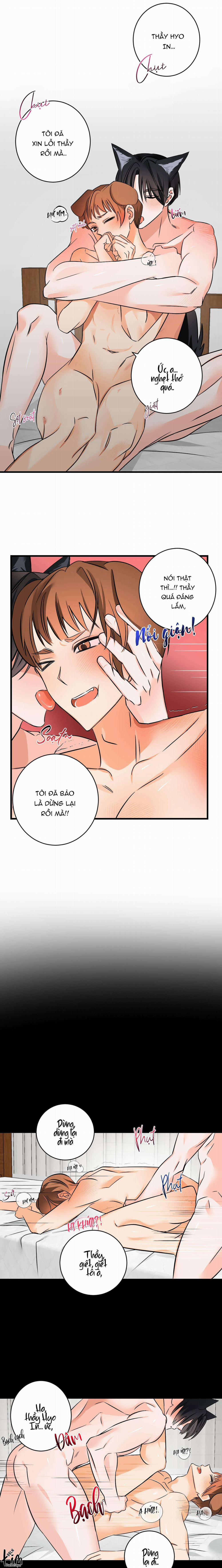 Tuyển Tập Bl Thú Nhân Và Xúc Tu 10.6 trang 1