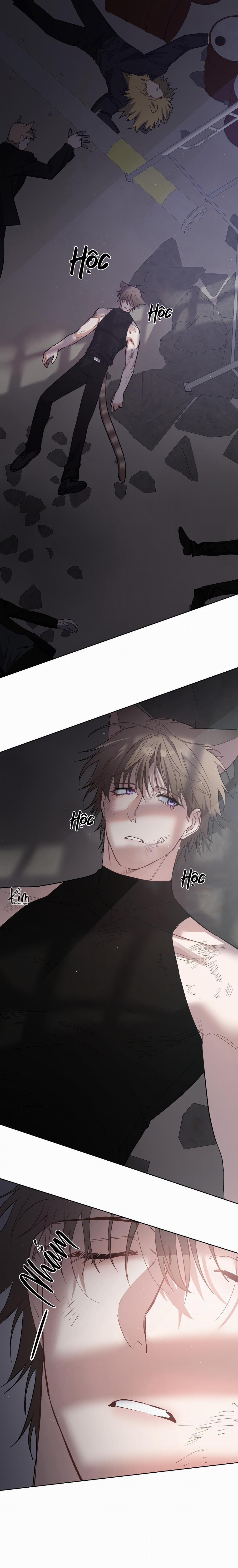 Tuyển Tập Bl Thú Nhân Và Xúc Tu 13.4 THỎ NT END trang 1