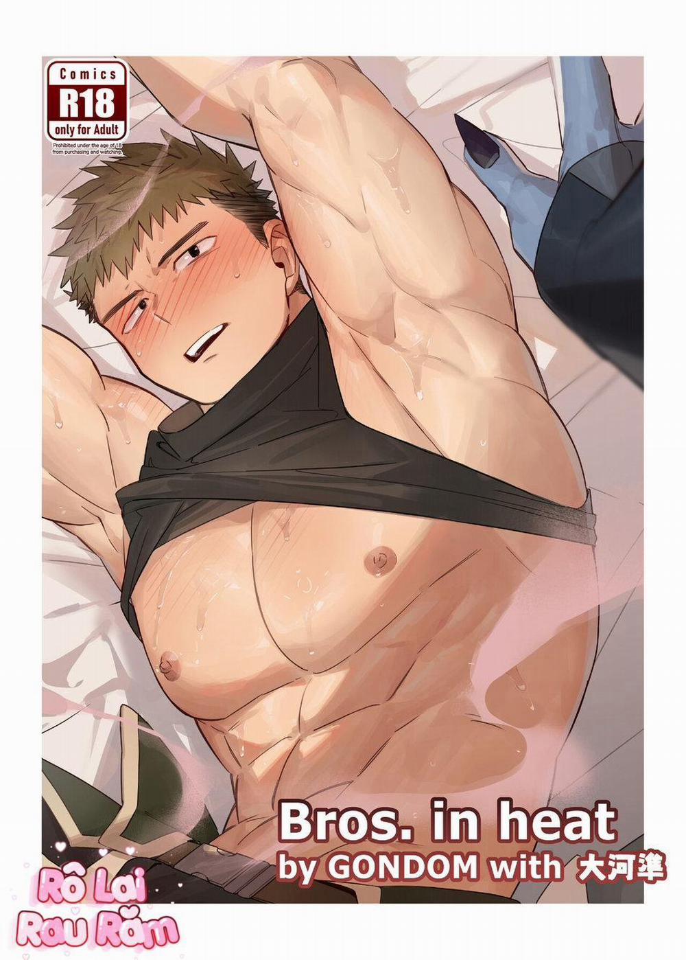 TUYỂN TẬP CHIM TO SIÊU DÀI 22 trang 0