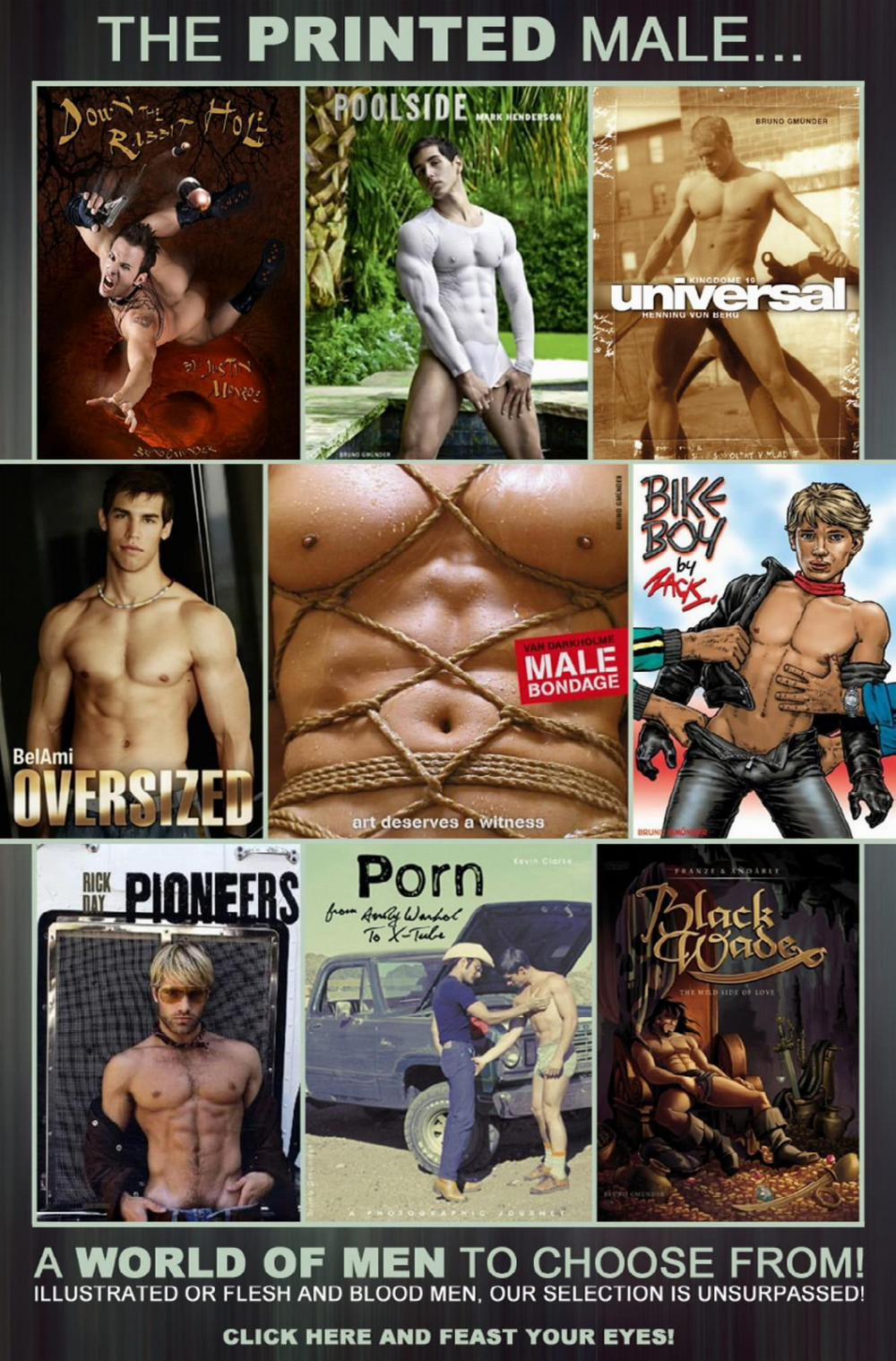 TUYỂN TẬP CHIM TO SIÊU DÀI 48 trang 22