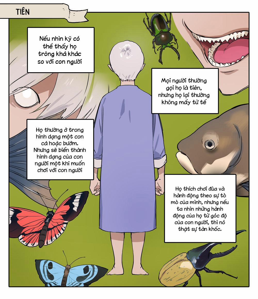 TUYỂN TẬP CHIM TO SIÊU DÀI 64 rppatta trang 32