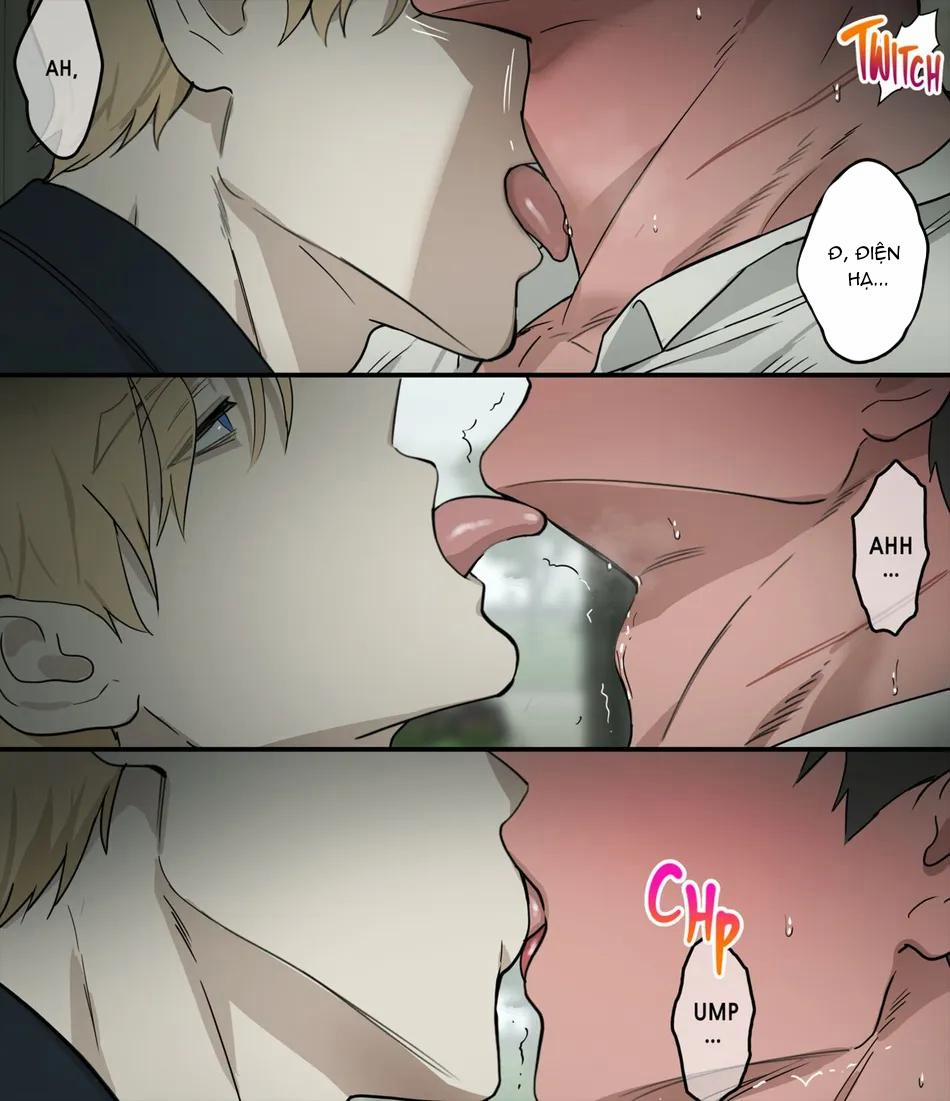 TUYỂN TẬP CHIM TO SIÊU DÀI 65 ppatta trang 3