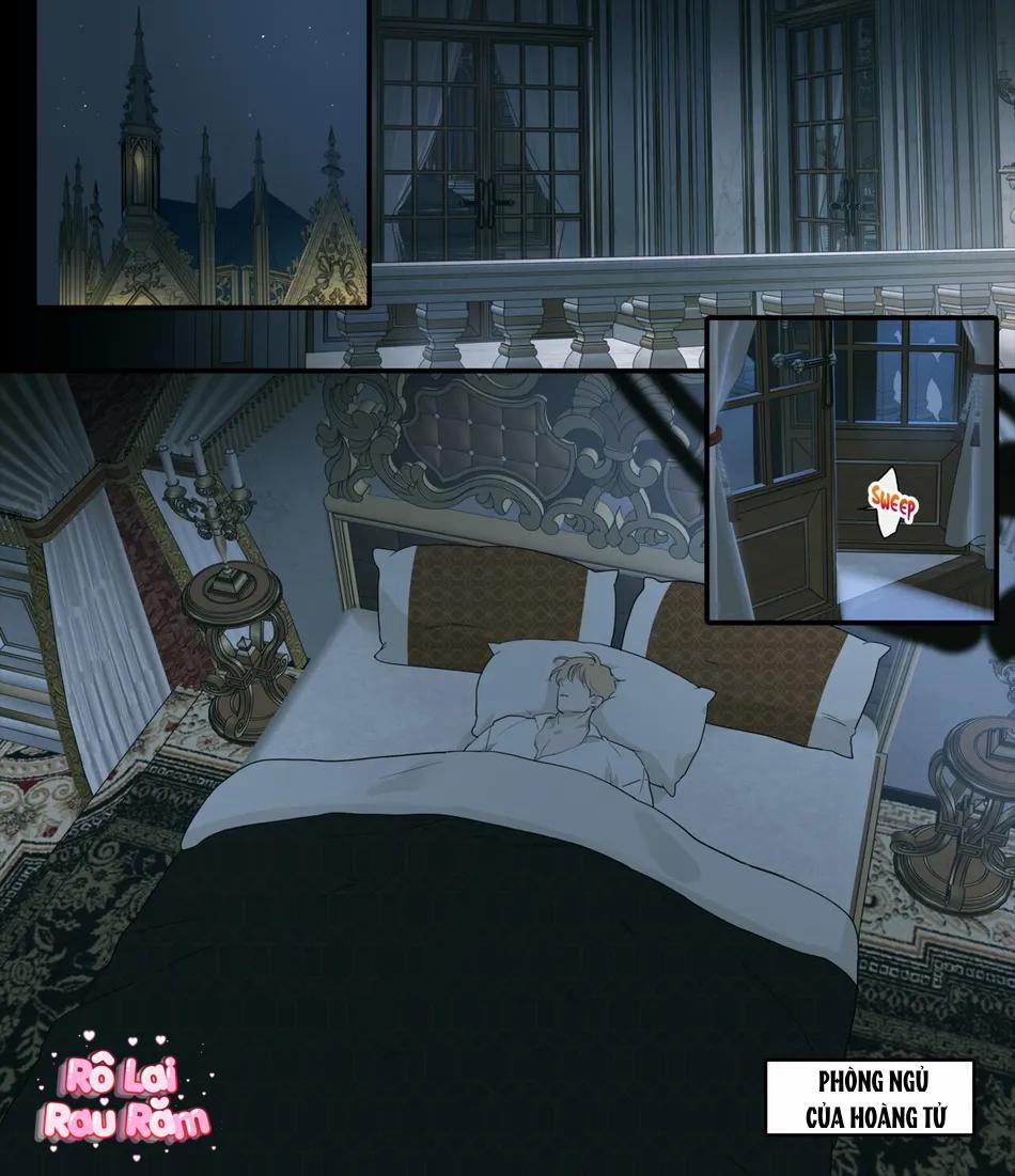 TUYỂN TẬP CHIM TO SIÊU DÀI 65 trang 12