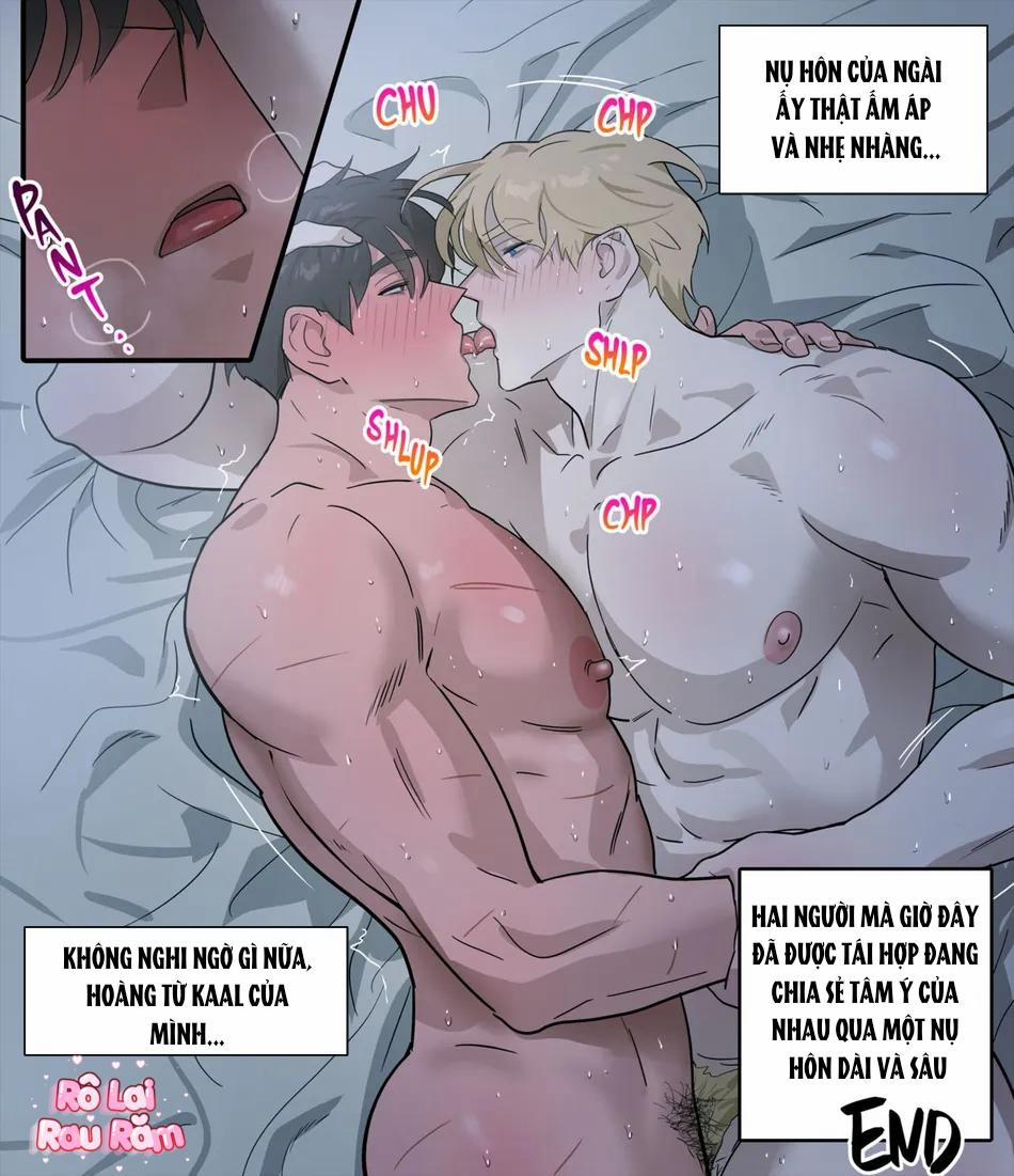 TUYỂN TẬP CHIM TO SIÊU DÀI 65 trang 36