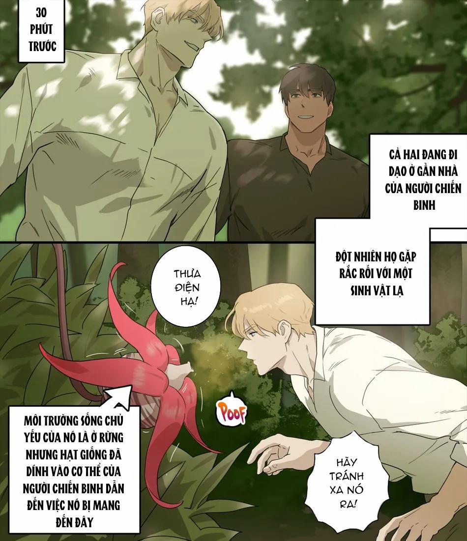 TUYỂN TẬP CHIM TO SIÊU DÀI 65 trang 9