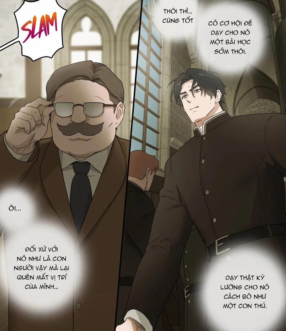 TUYỂN TẬP CHIM TO SIÊU DÀI 67 trang 11