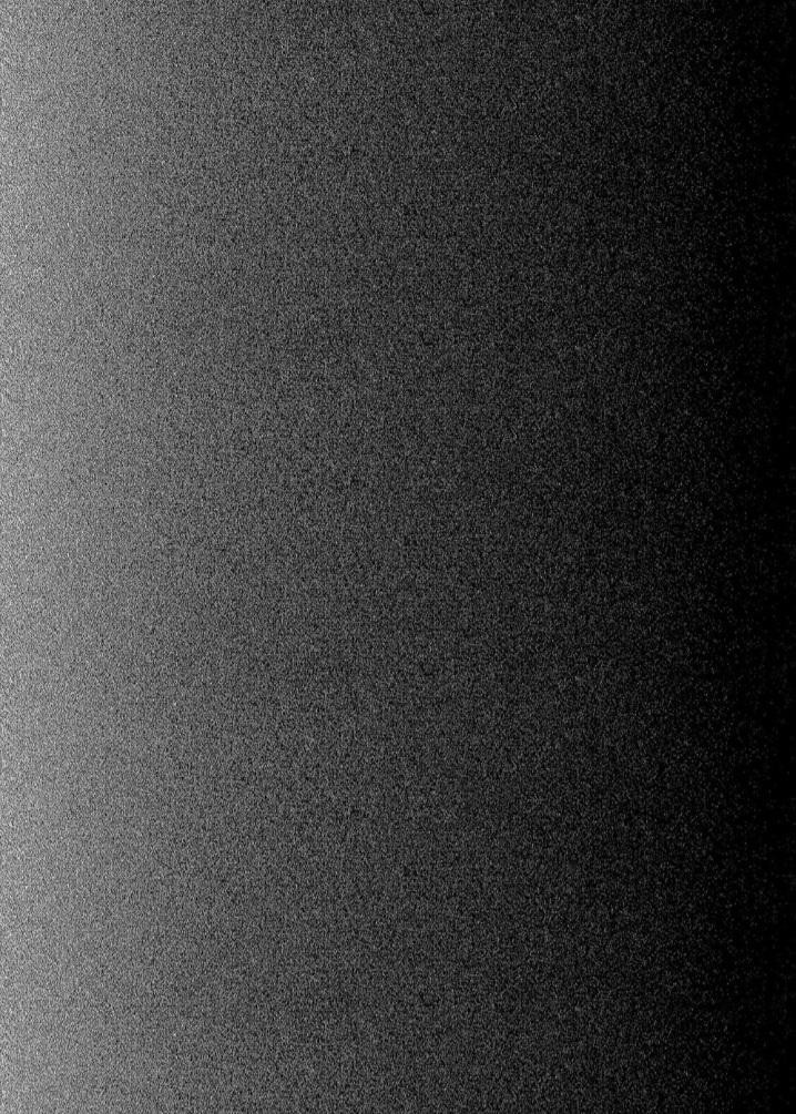 TUYỂN TẬP CHIM TO SIÊU DÀI 87.1 trang 22