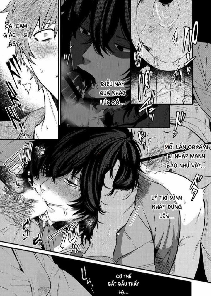 TUYỂN TẬP CHIM TO SIÊU DÀI 87.2 trang 11