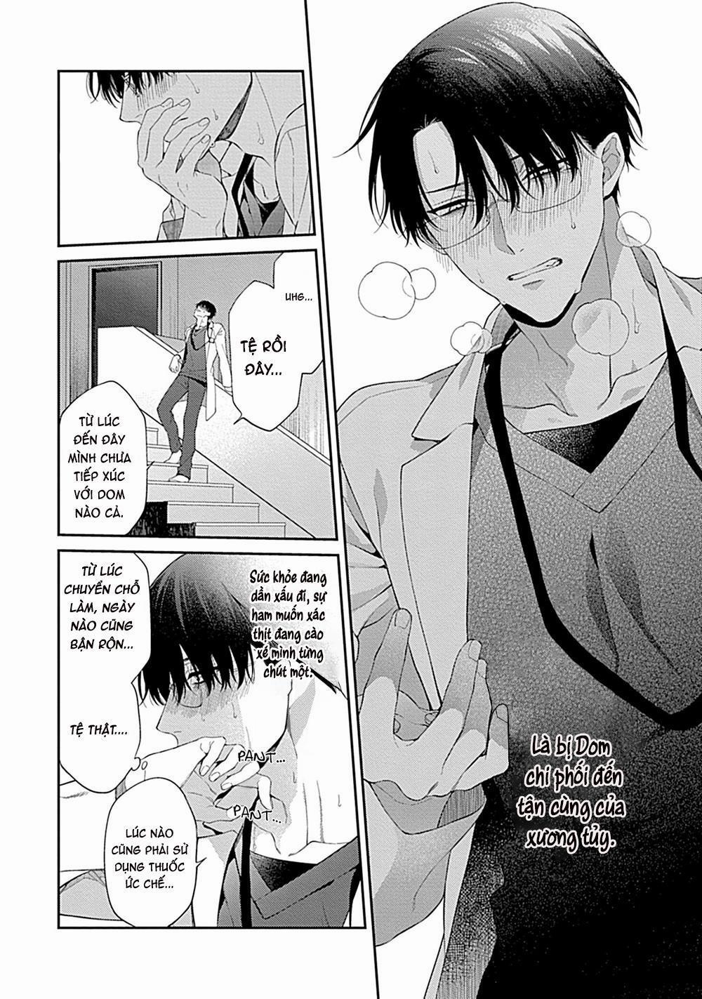 TUYỂN TẬP CU 18CM 15.1 trang 10