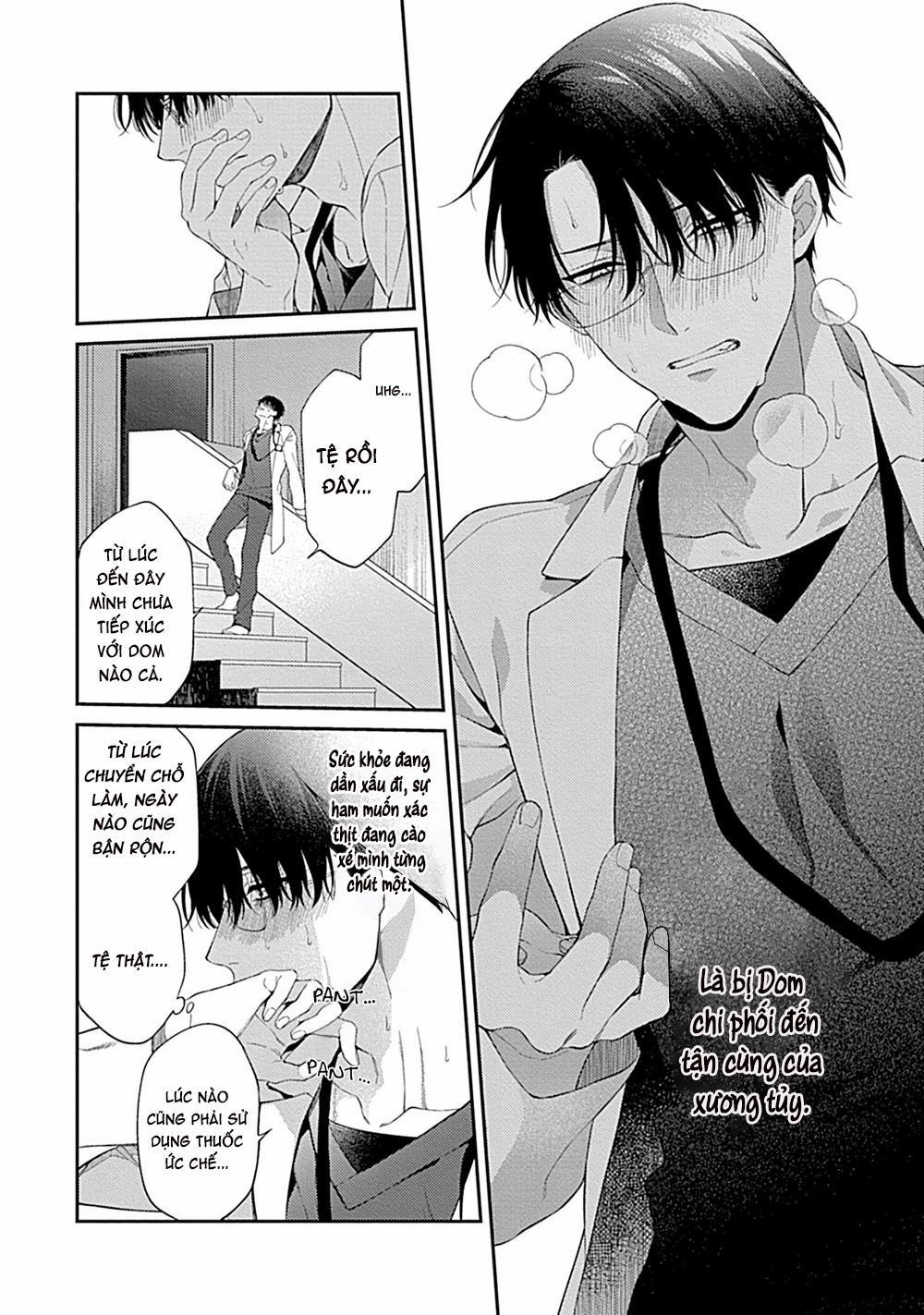 TUYỂN TẬP CU 18CM 15 Bộ 3 trang 10