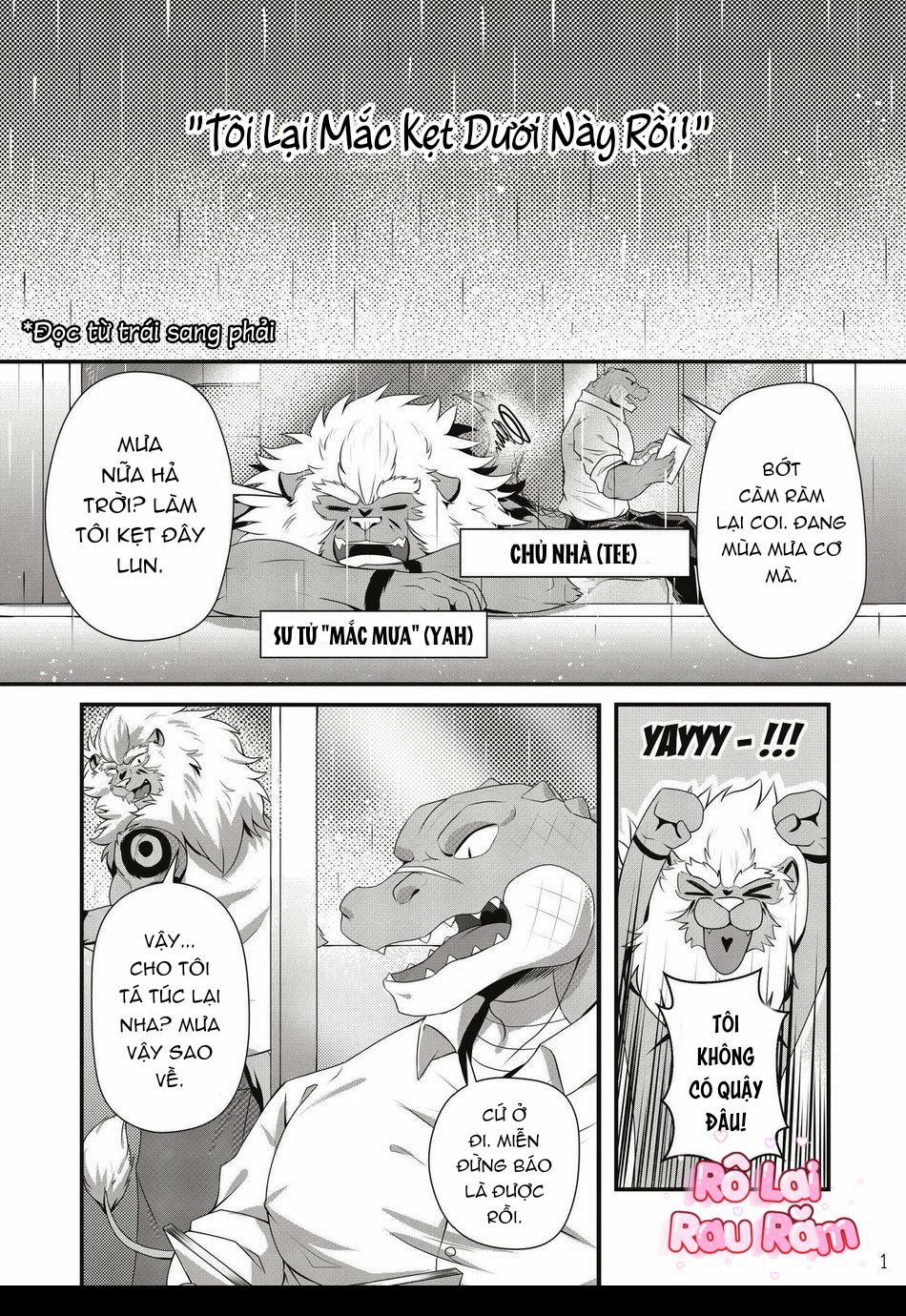 TUYỂN TẬP CU 18CM 72 Bộ 13 trang 3