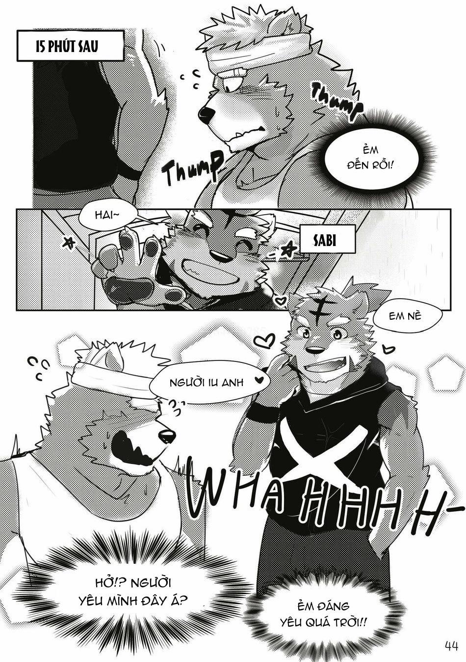 TUYỂN TẬP CU 18CM 73 Bộ 13 trang 16