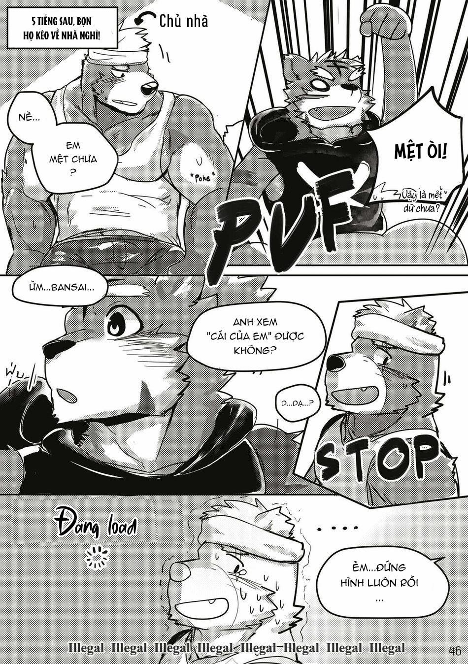 TUYỂN TẬP CU 18CM 73 Bộ 13 trang 18