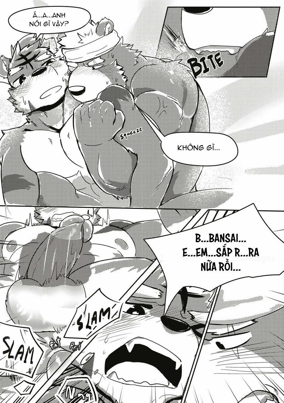 TUYỂN TẬP CU 18CM 74 Bộ 13 trang 0