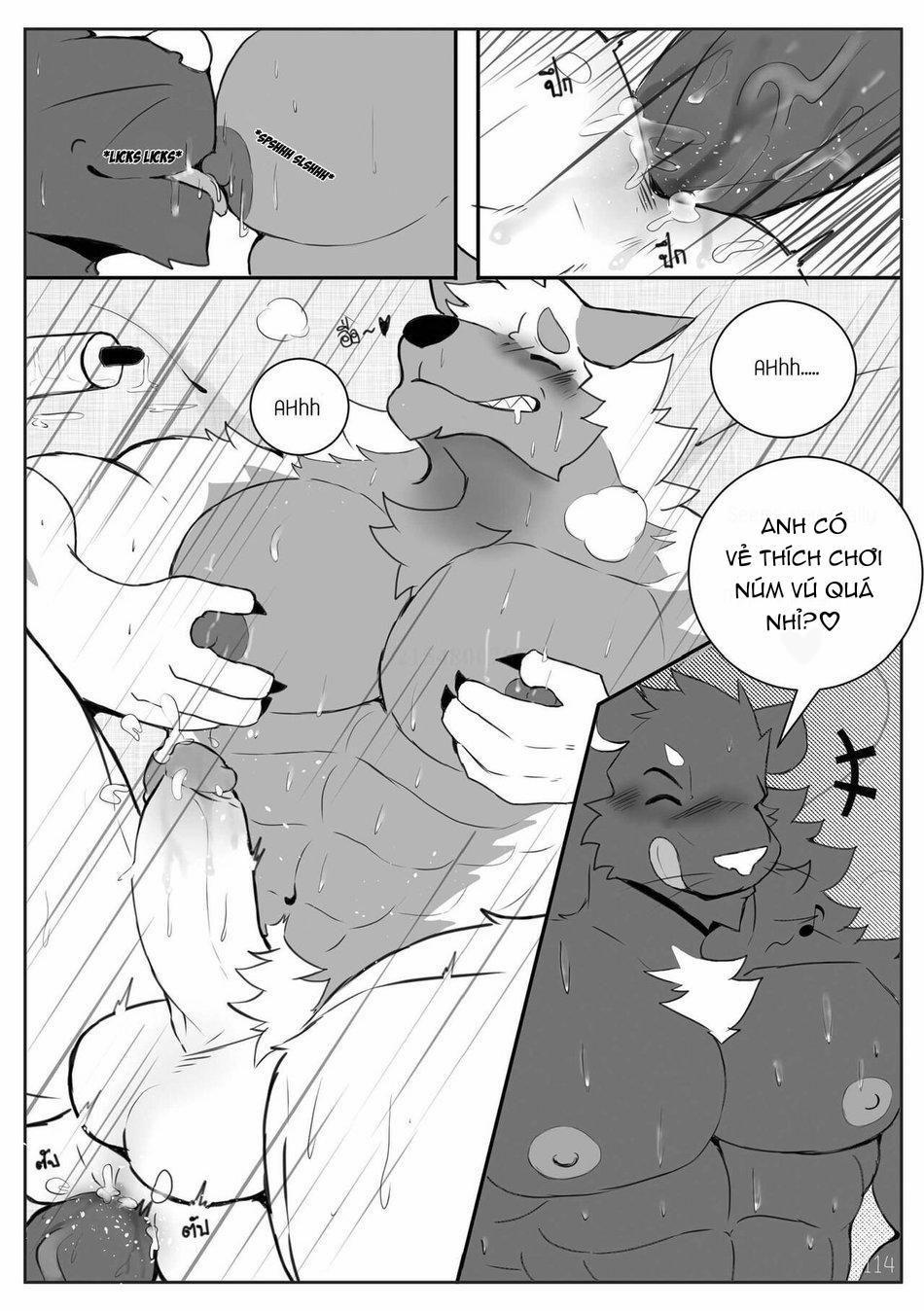 TUYỂN TẬP CU 18CM 75 END Bộ 13 trang 26