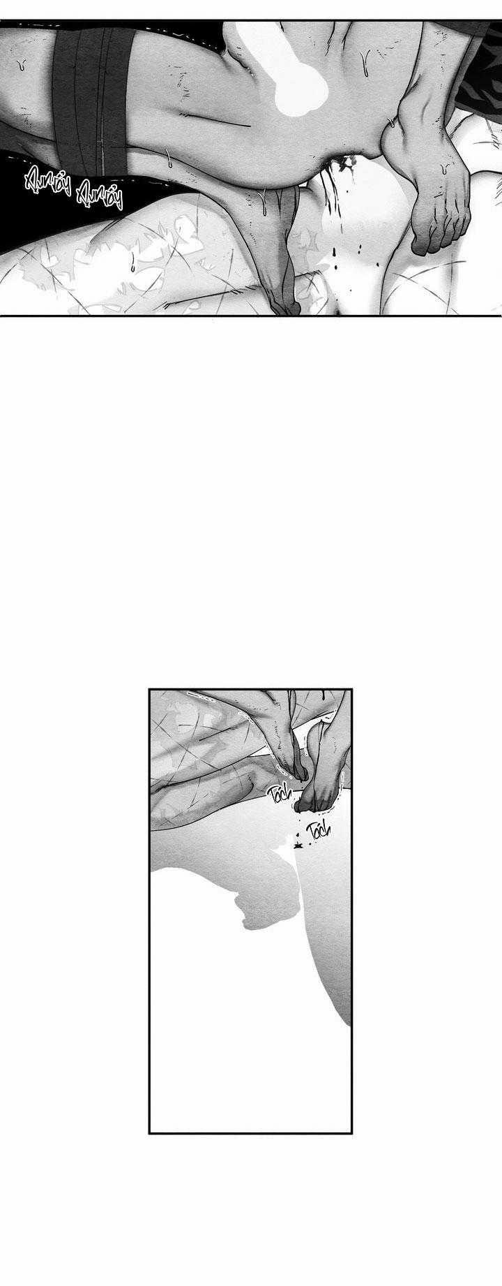 TUYỂN TẬP CUỒNG CÔNG-CHIẾM HỮU CÔNG CỦA NHÀ KIM 41.2 trang 2