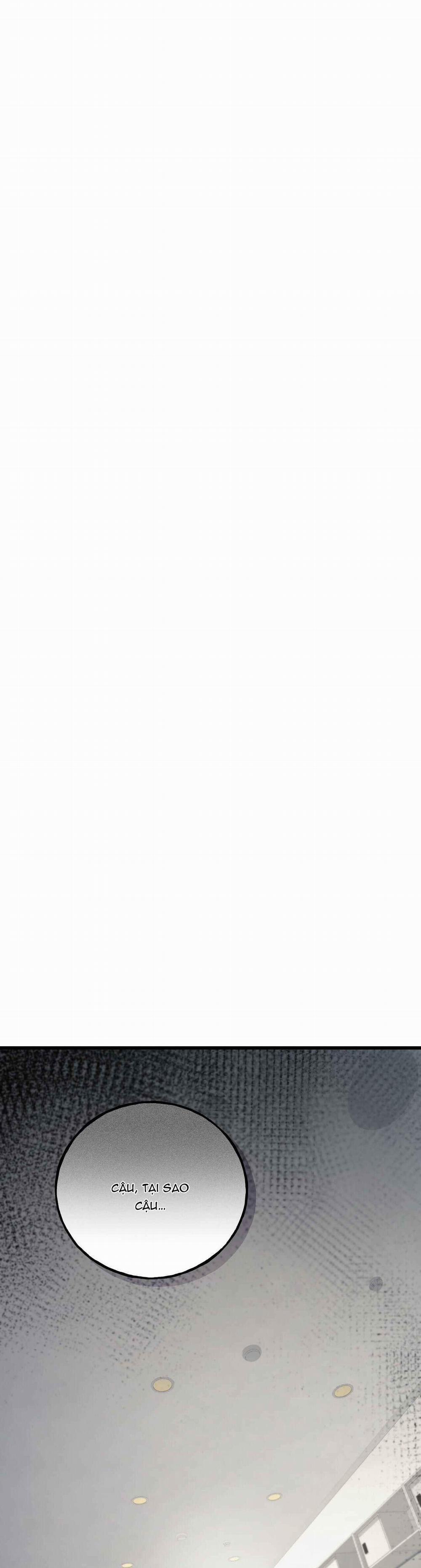 TUYỂN TẬP CUỒNG CÔNG-CHIẾM HỮU CÔNG CỦA NHÀ KIM 43.3 BADNOTBAT 3 trang 12