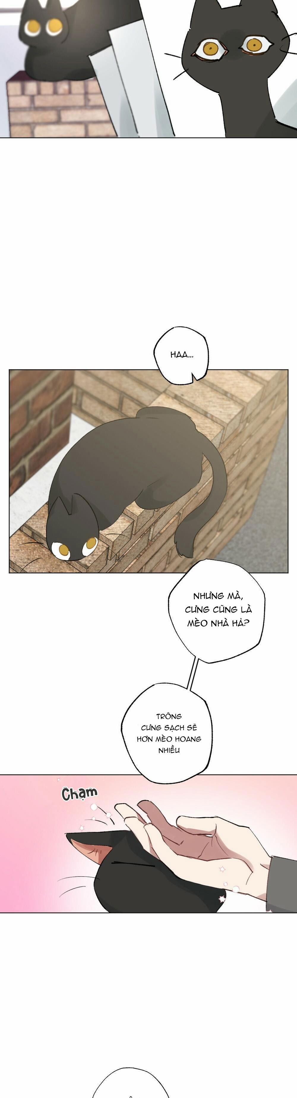 Tuyển Tập Dú Bự 54 15 (meow) trang 11