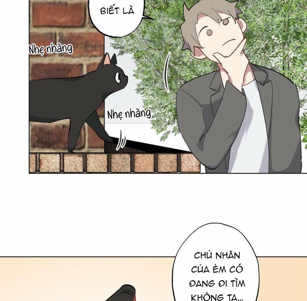 Tuyển Tập Dú Bự 54 15 (meow) trang 15