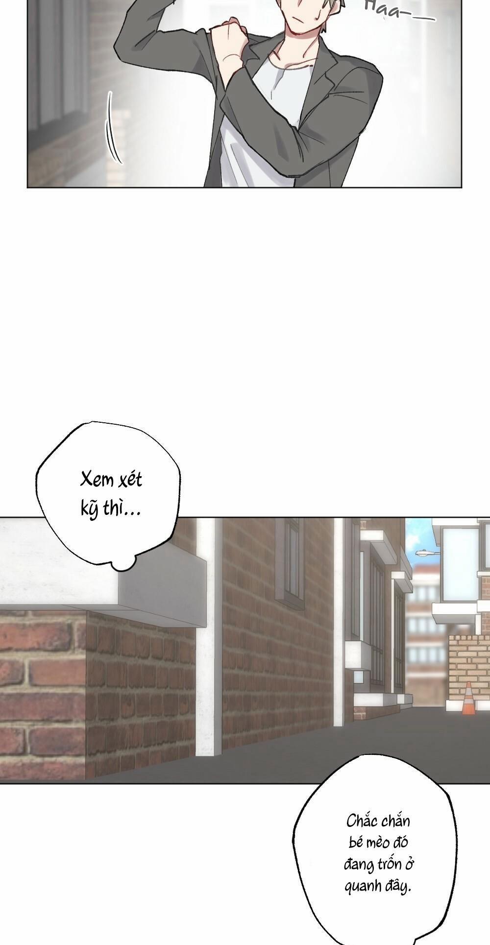 Tuyển Tập Dú Bự 54 15 (meow) trang 7