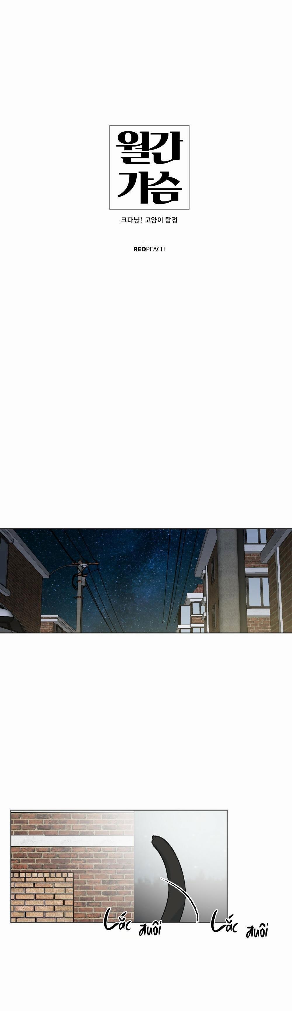 Tuyển Tập Dú Bự 56 trang 0