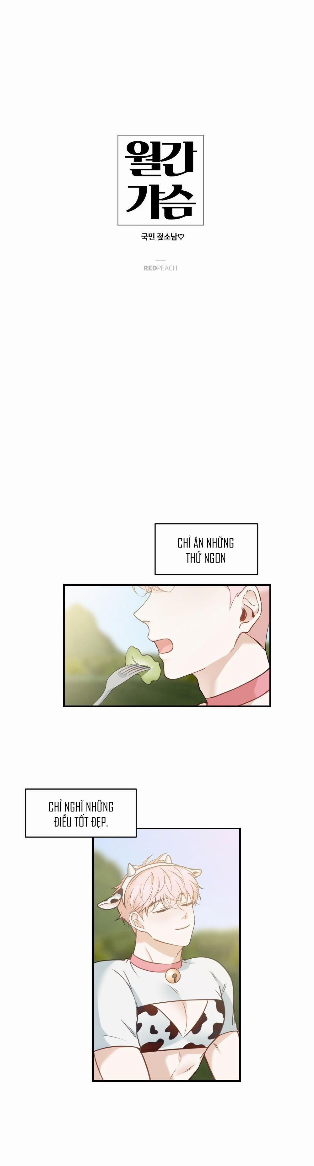 Tuyển Tập Dú Bự 65 trang 0