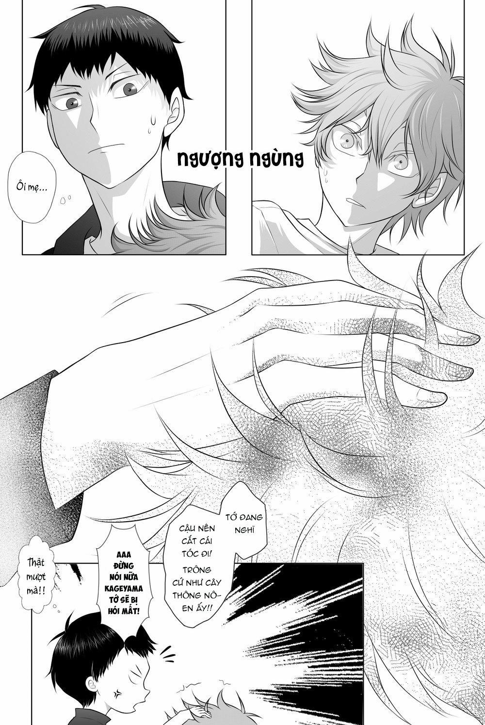 Tuyển Tập Haikyuu dj by Dammei BL 24 trang 8