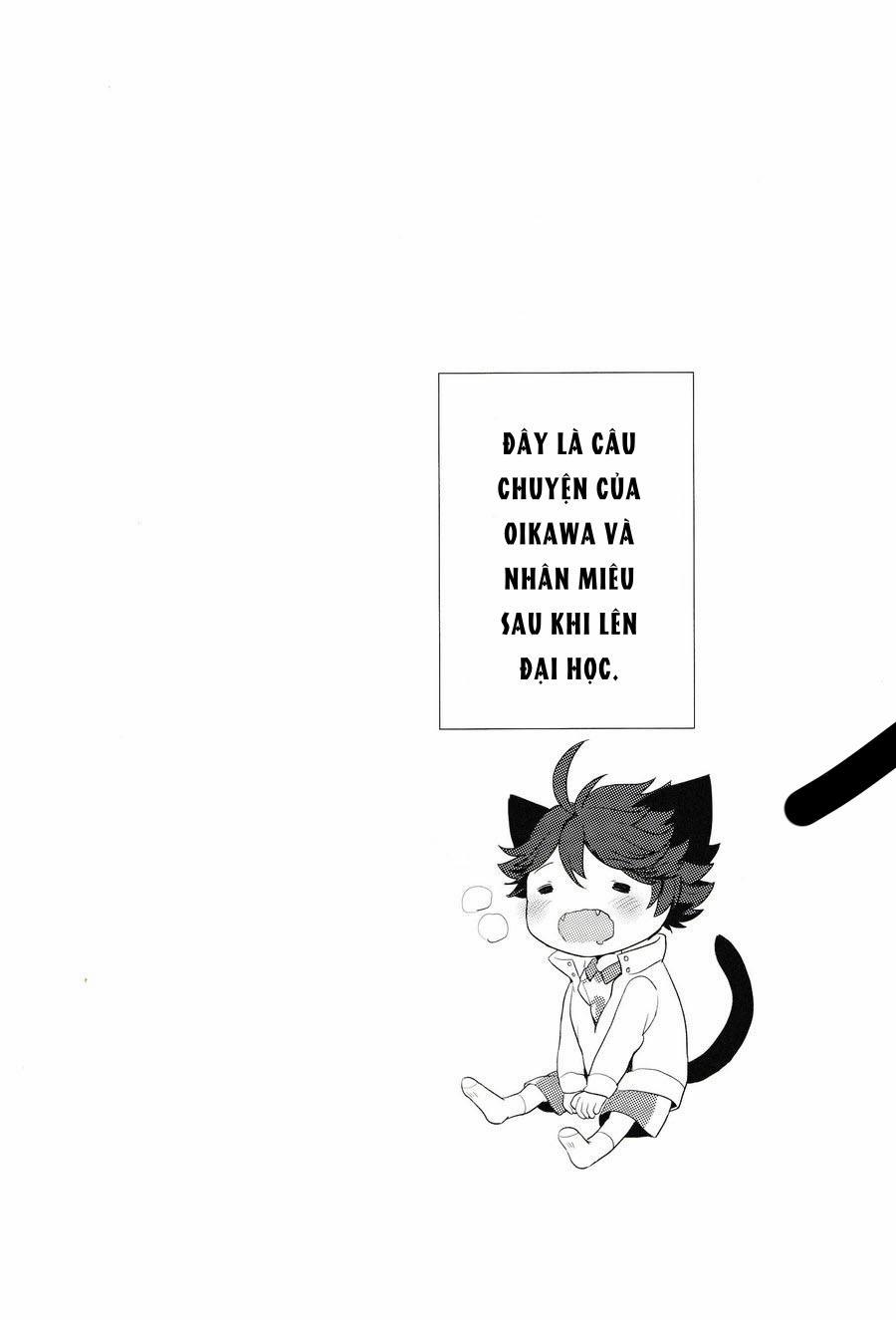 Tuyển Tập Haikyuu dj by Dammei BL 5 trang 1