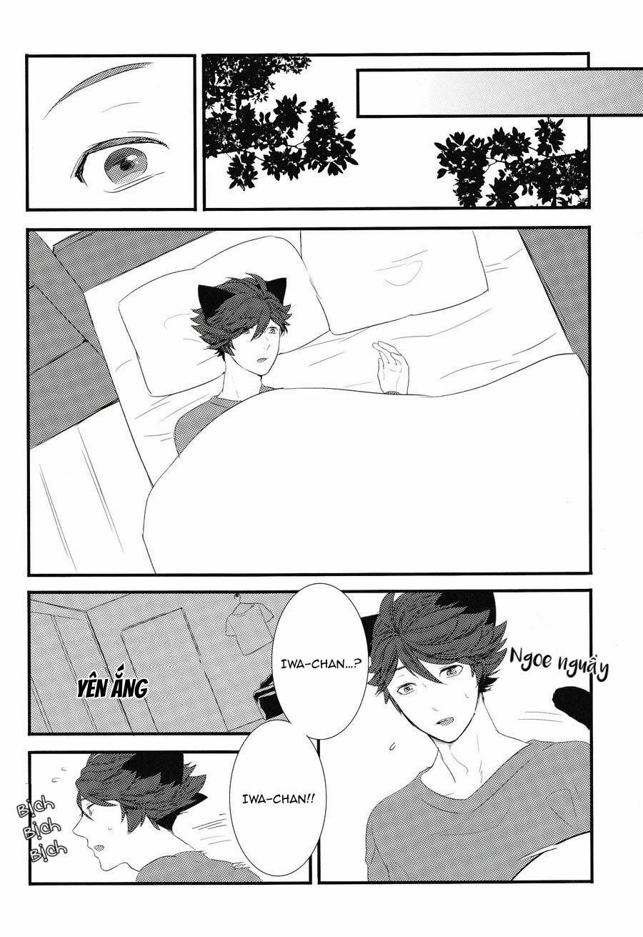 Tuyển Tập Haikyuu dj by Dammei BL 5 trang 27