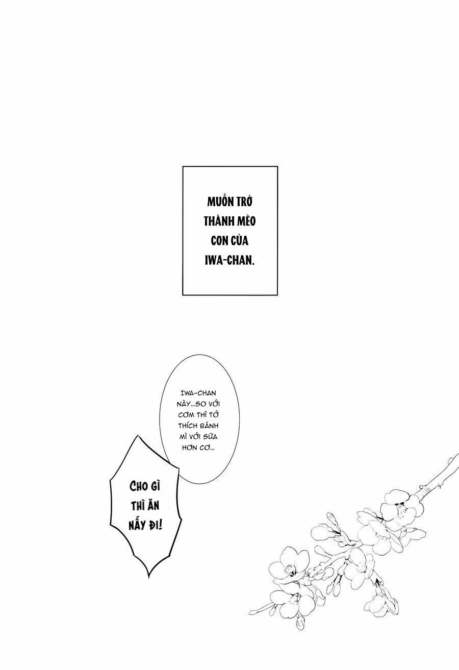 Tuyển Tập Haikyuu dj by Dammei BL 5 trang 29