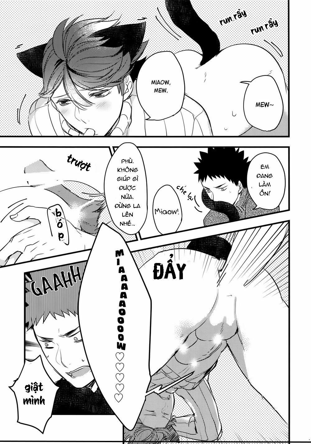 Tuyển Tập Haikyuu dj by Dammei BL 7 trang 17