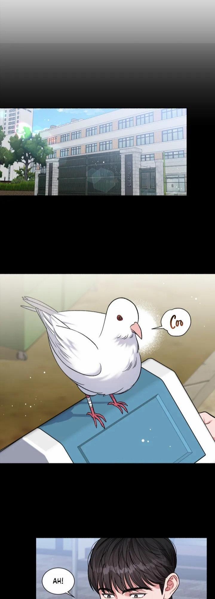 Tuyển Tập Khu Chung Cư Gwanggong - Gwanggong Apartment Complex 12 trang 3