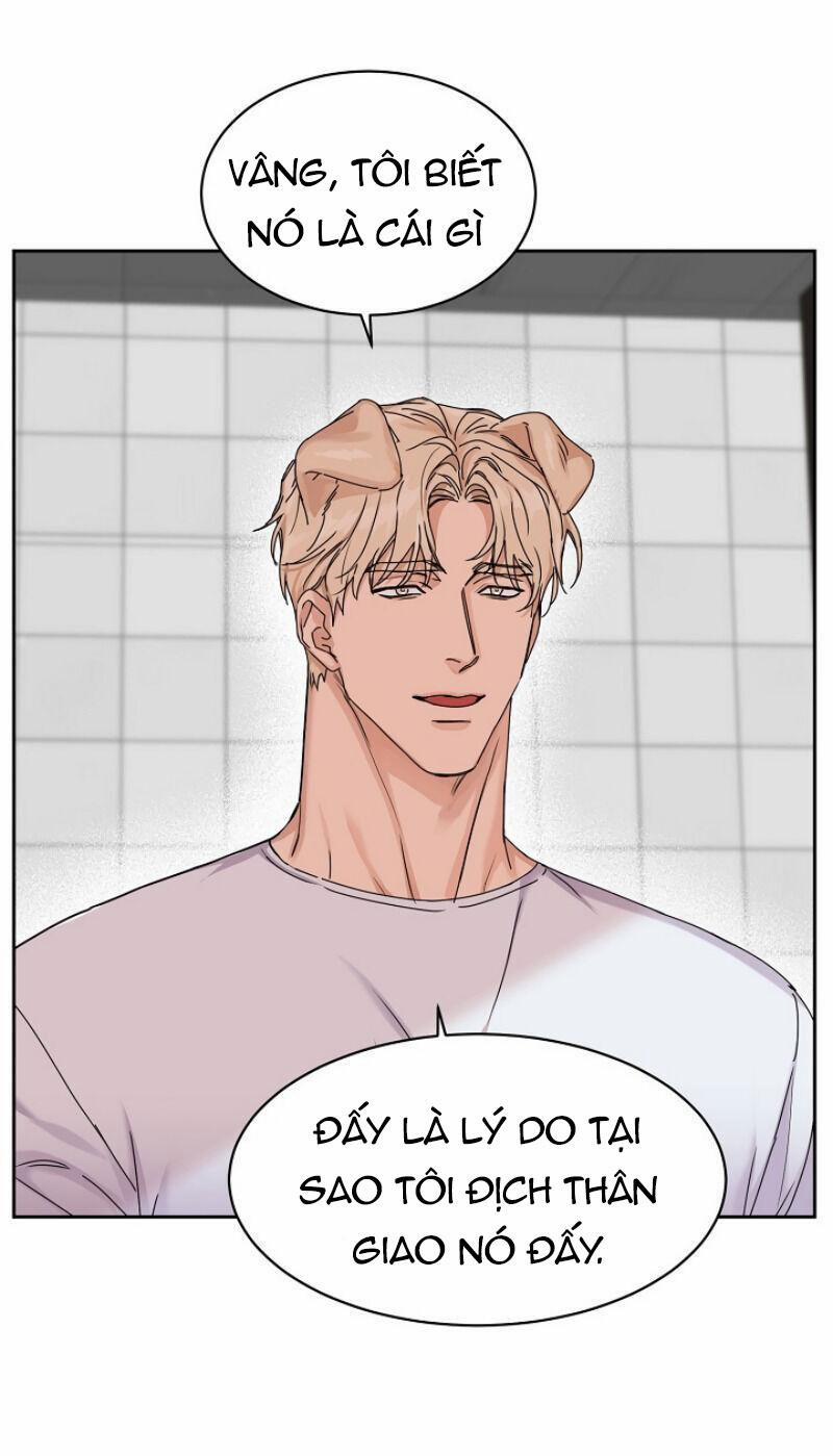 Tuyển Tập Manhwa 18+ 2 Hãy Nuôi Tôi trang 13