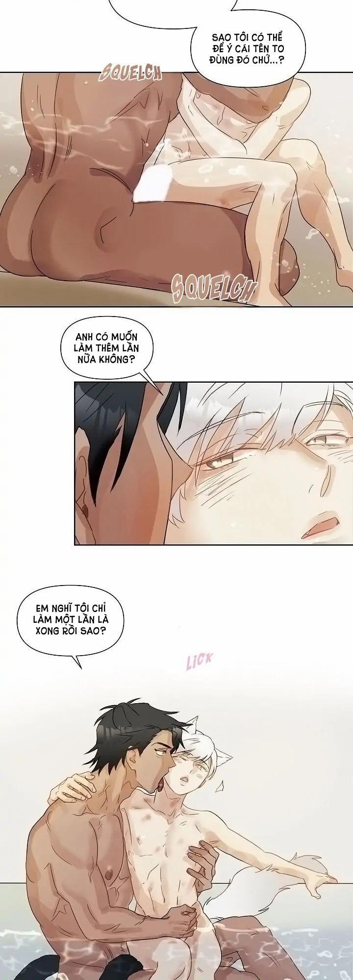 Tuyển Tập Manhwa 18+ 26 Sói và Mèo trang 12