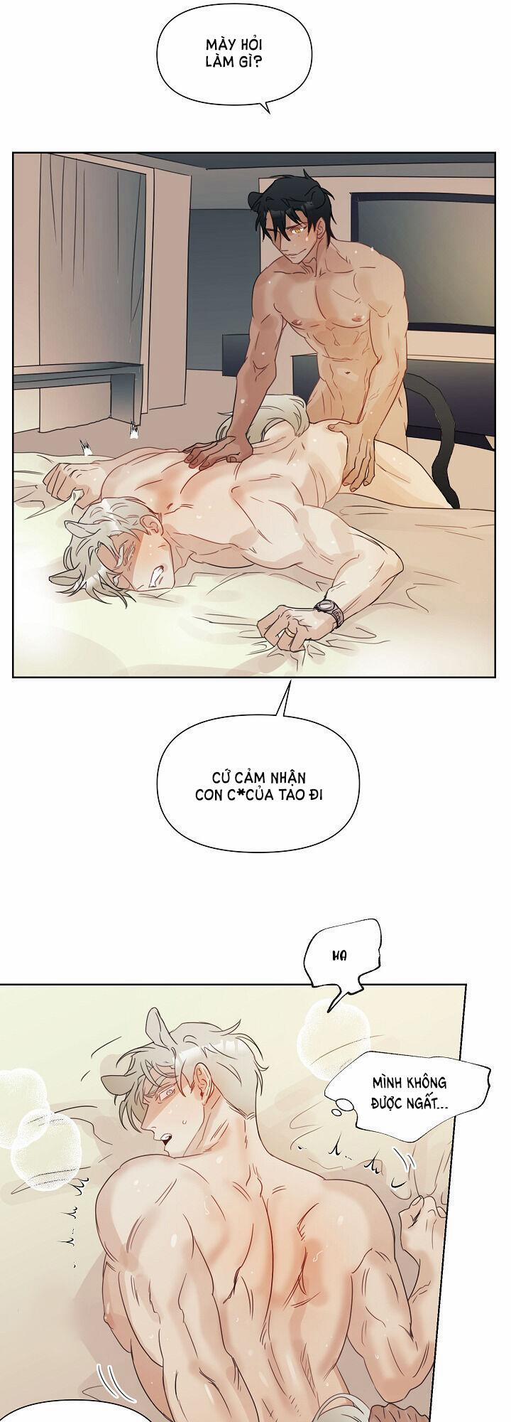Tuyển Tập Manhwa 18+ 27 Sói và Mèo trang 16