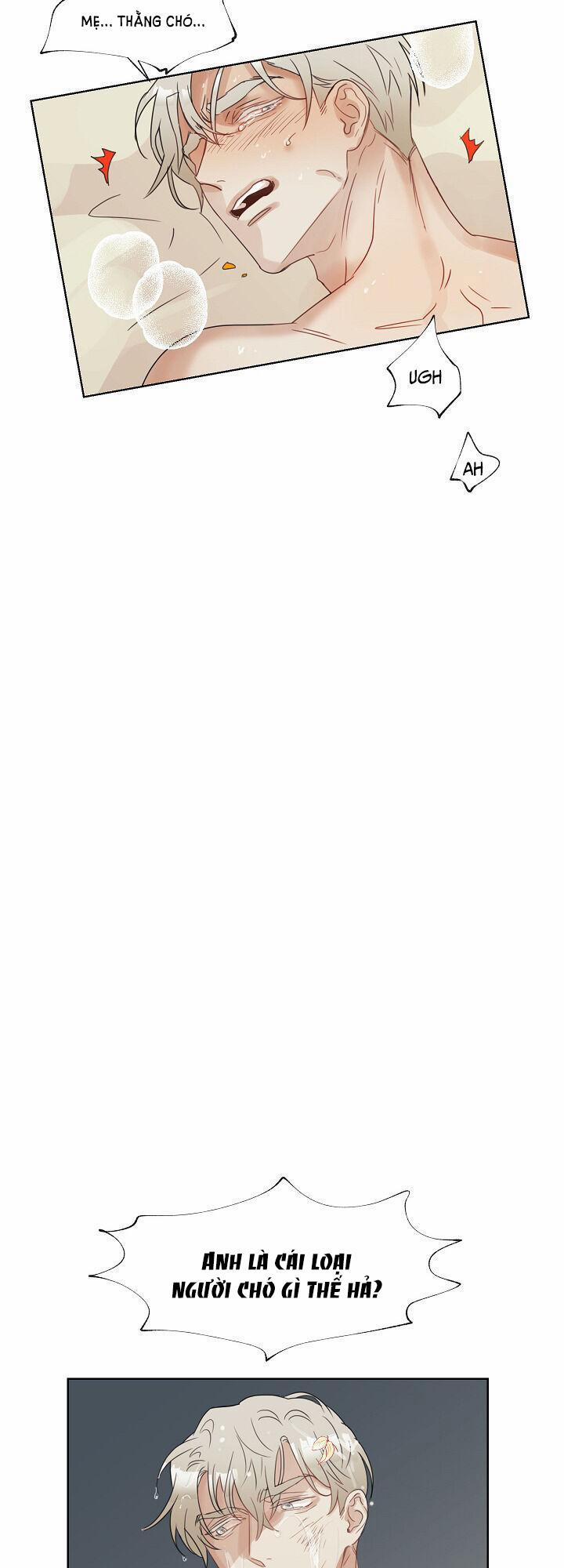 Tuyển Tập Manhwa 18+ 27 Sói và Mèo trang 18