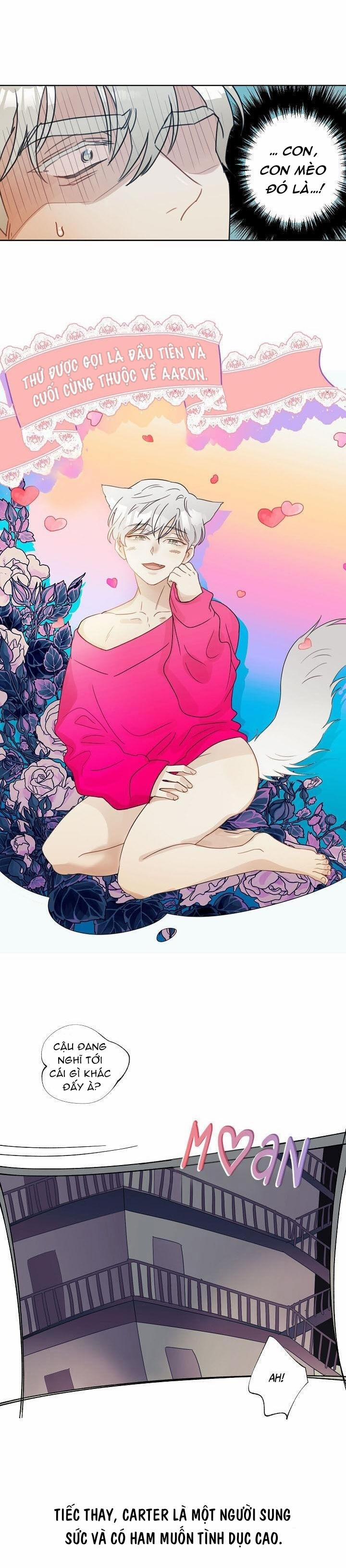 Tuyển Tập Manhwa 18+ 28 Sói và Mèo trang 12