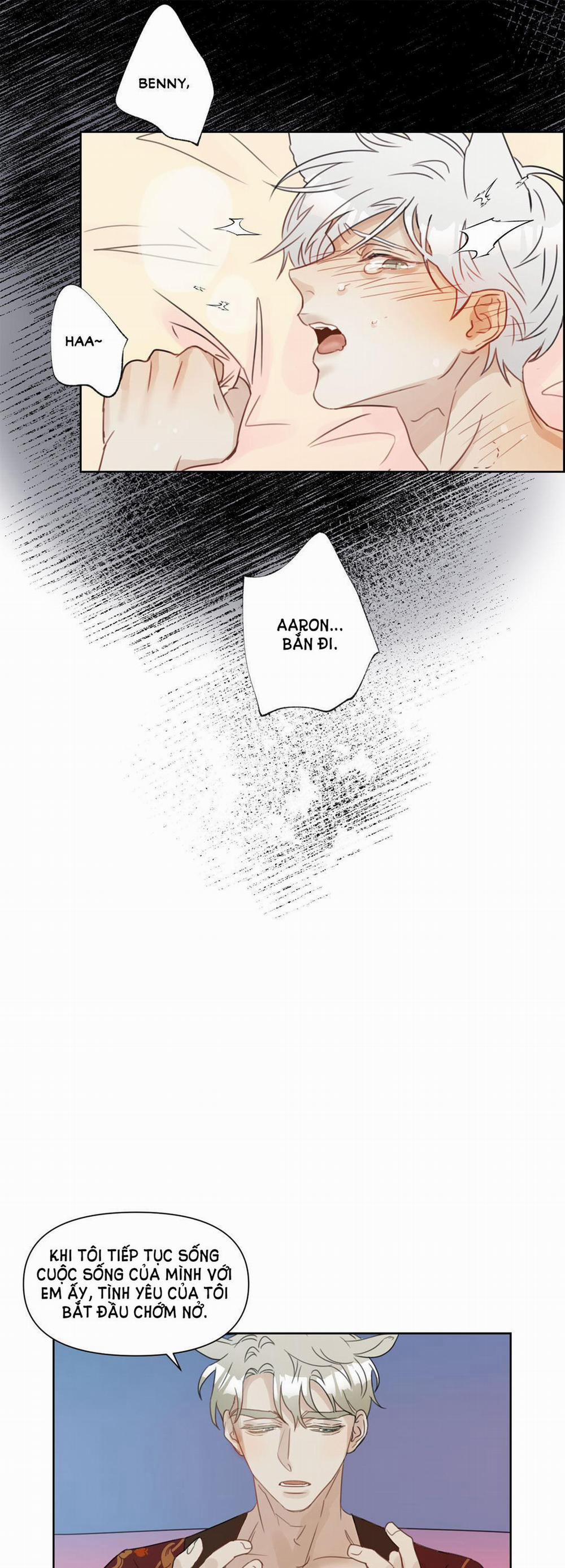 Tuyển Tập Manhwa 18+ 29 Sói và Mèo trang 20