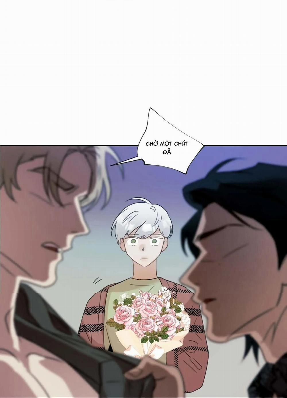 Tuyển Tập Manhwa 18+ 30 Sói và Mèo trang 41