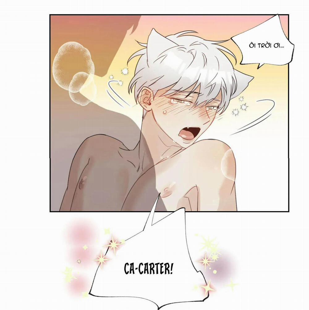 Tuyển Tập Manhwa 18+ 30 Sói và Mèo trang 65