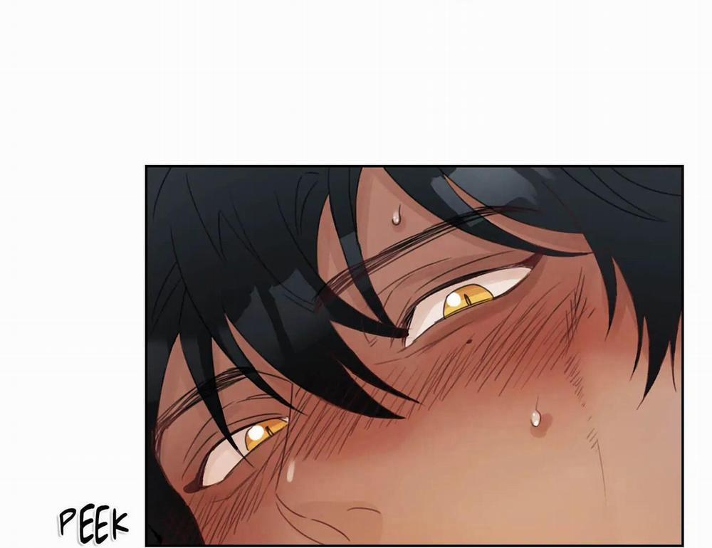 Tuyển Tập Manhwa 18+ 31 Sói và Mèo trang 10