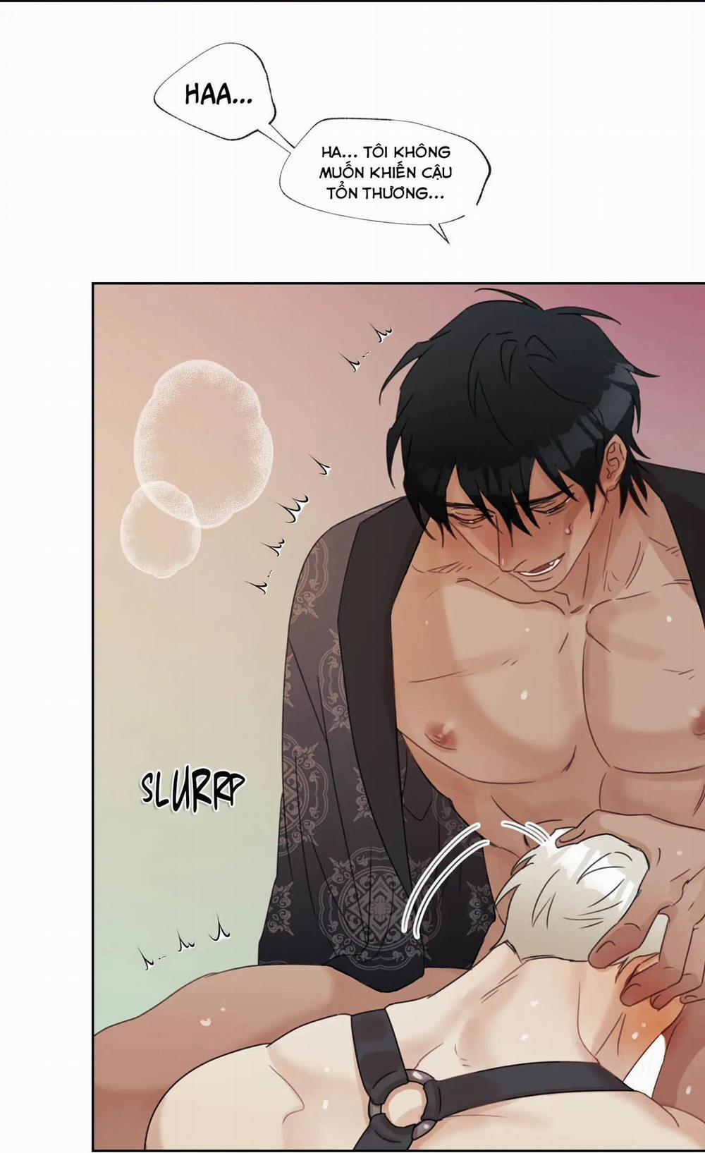 Tuyển Tập Manhwa 18+ 31 Sói và Mèo trang 13