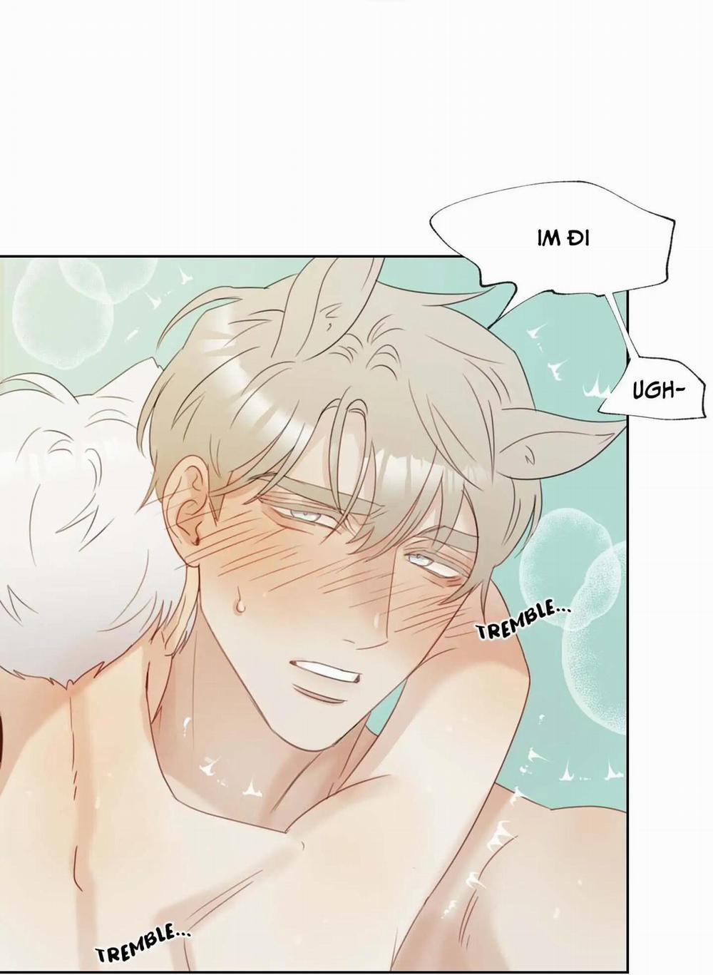 Tuyển Tập Manhwa 18+ 31 Sói và Mèo trang 27