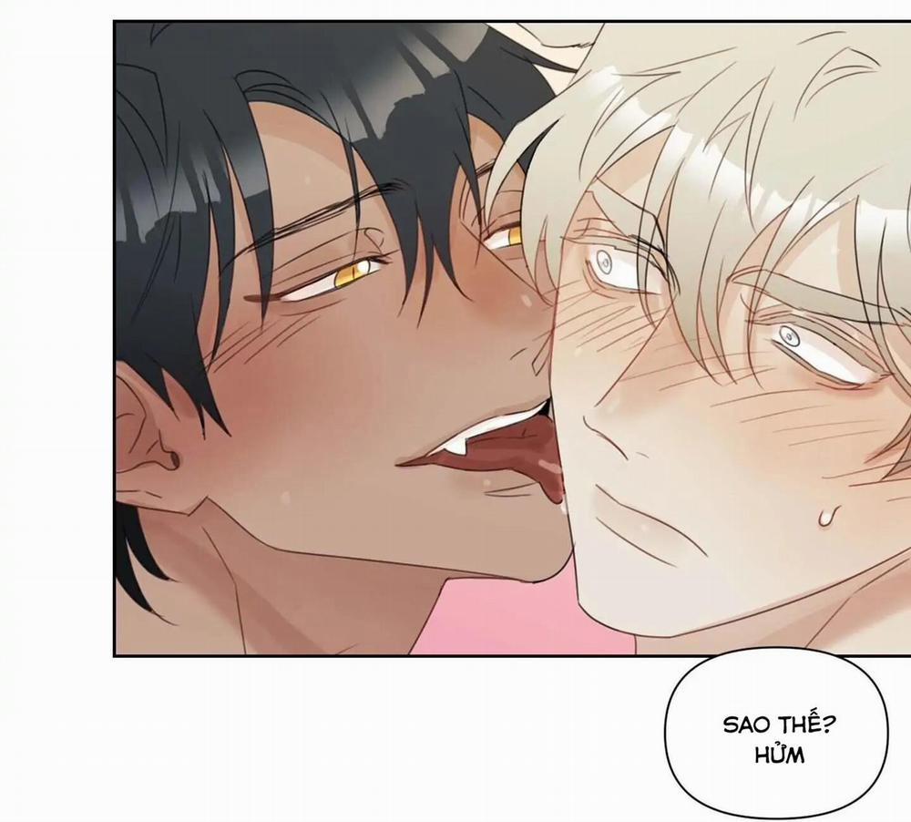 Tuyển Tập Manhwa 18+ 31 Sói và Mèo trang 31