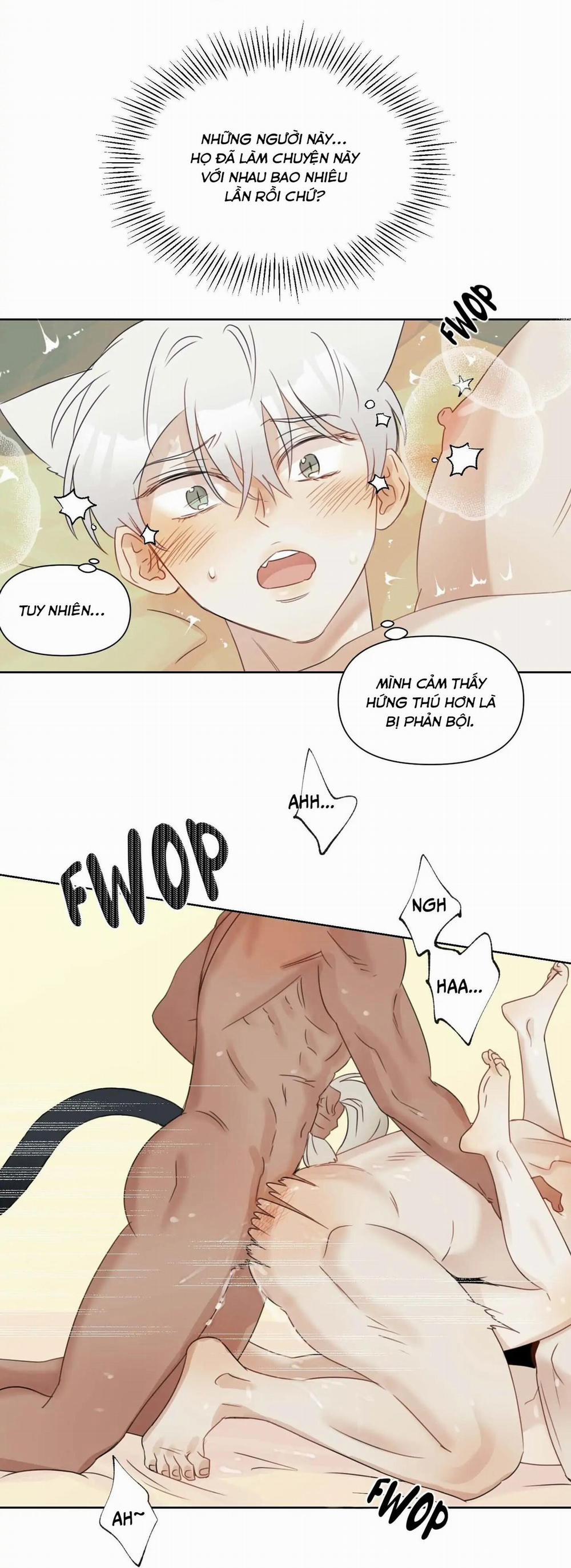 Tuyển Tập Manhwa 18+ 31 Sói và Mèo trang 35