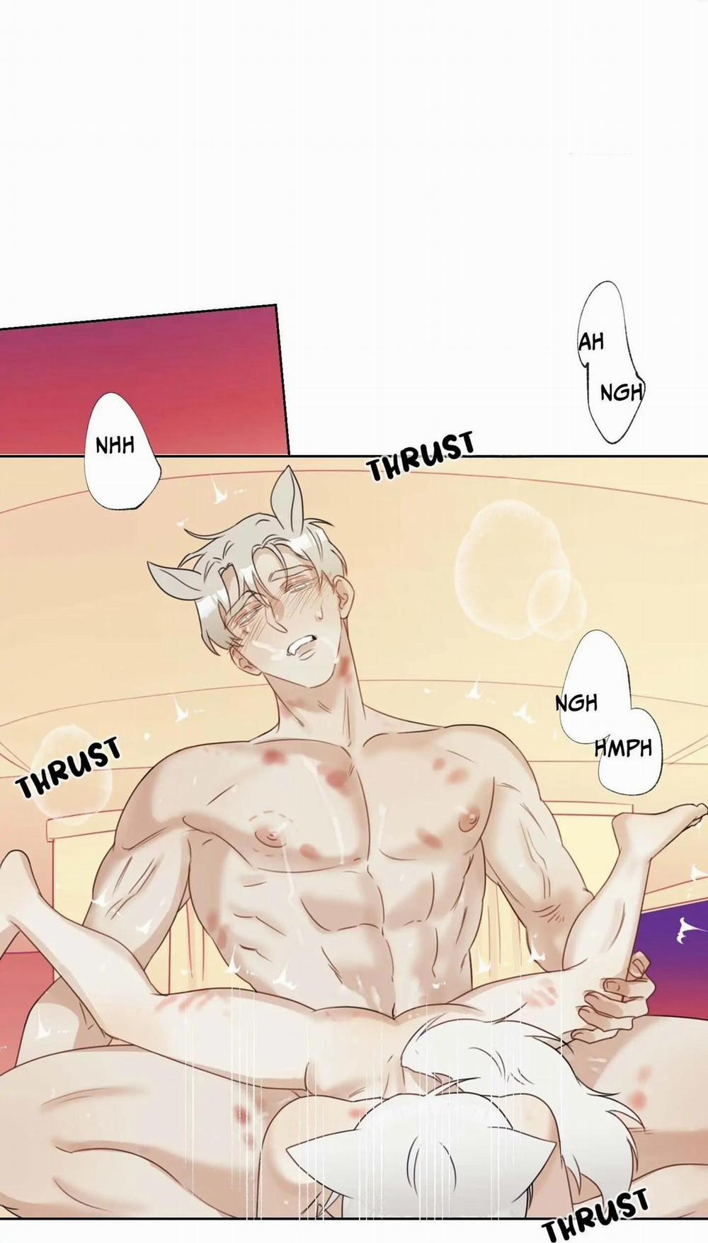 Tuyển Tập Manhwa 18+ 31 Sói và Mèo trang 49