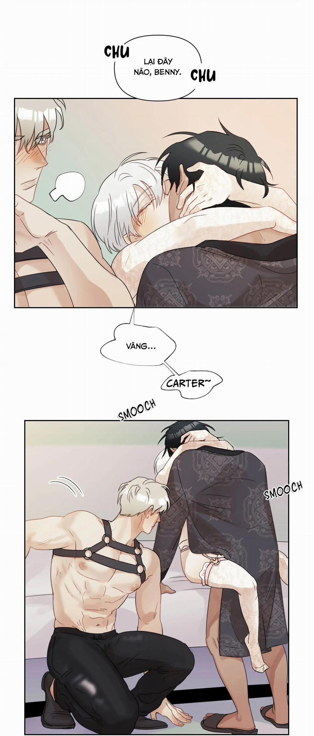 Tuyển Tập Manhwa 18+ 31 Sói và Mèo trang 8